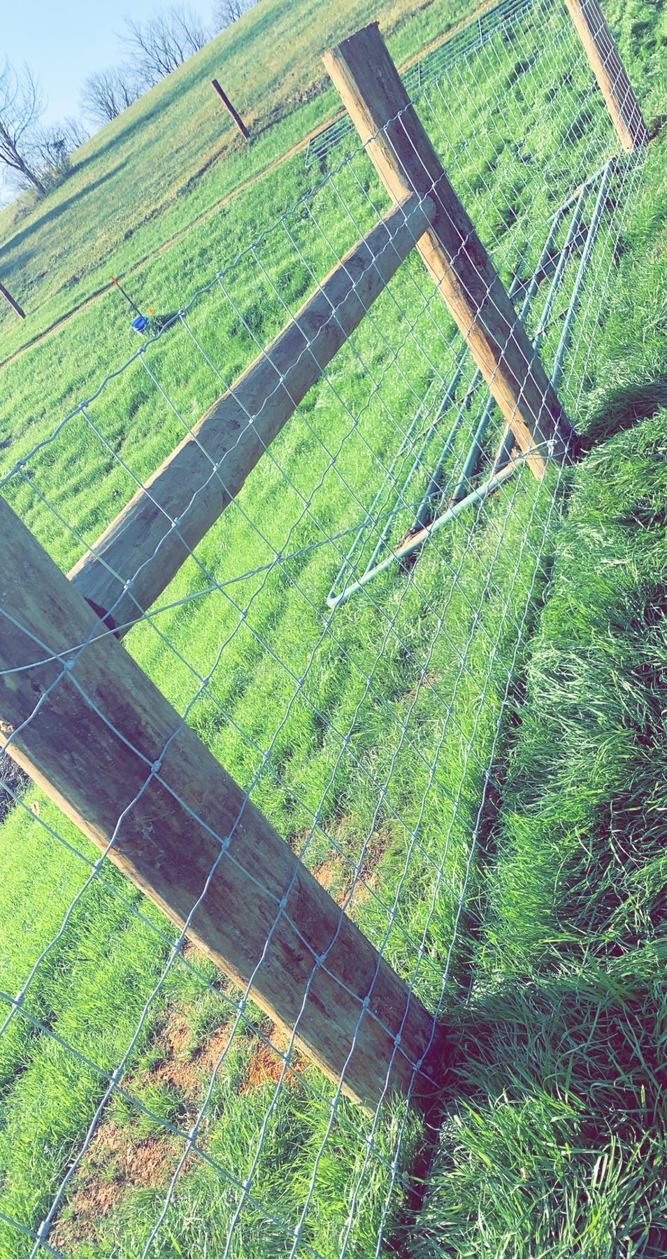 Agricultural fencing — Kentucky farm, horse pasture, and livestock work — S&S Fencing project 3