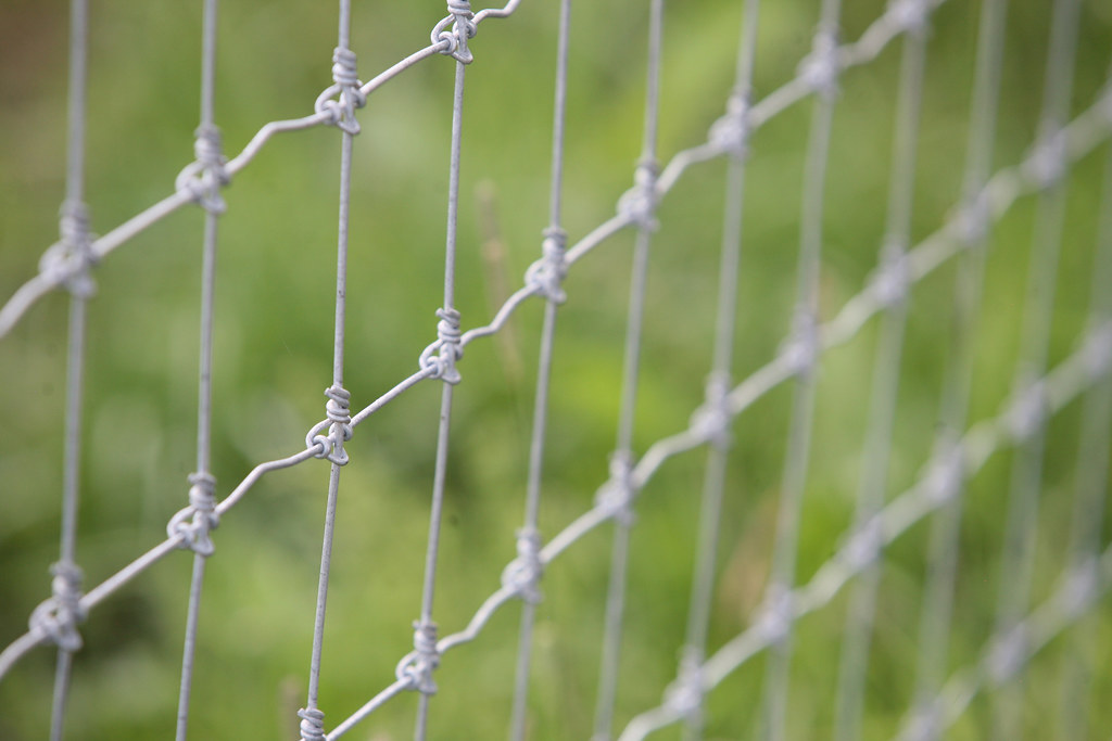 Close-up of fixed-knot woven wire fence mesh showing the knot wire locking each vertical stay to the horizontal line wires