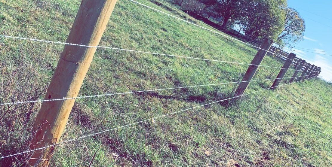 Barbed wire pasture fence on Kentucky cattle farm — S&S Fencing